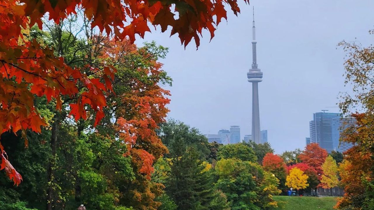 Toronto Fall